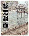 将军的儿子第1集